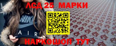 прущие грибы Заводоуковск