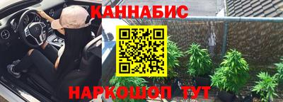 прущие грибы Заводоуковск