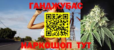 прущие грибы Заводоуковск