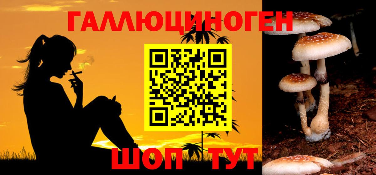 как найти   Псилоцибиновые грибы MAGIC MUSHROOMS  Вход с VPN  Лениногорск 