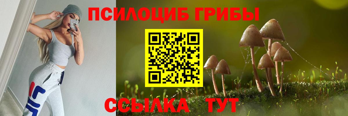 Псилоцибиновые грибы GOLDEN TEACHER Лениногорск